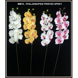 Phalonopis Printed Spray X9