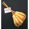 Spiga Pc. Gialla X12