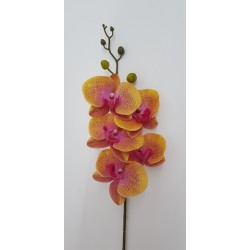 PHALENOPSIS NATURAL TOUCH YELLOW