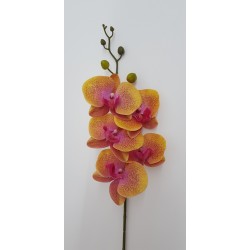 Phalenopsis Natural Touch Yellow