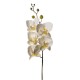 PHALENOPSIS NATURAL TOUCH WHITE