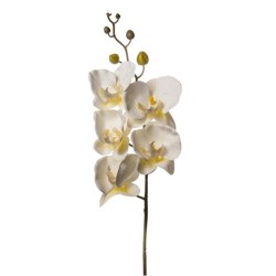 PHALENOPSIS NATURAL TOUCH WHITE
