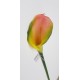 CALLA SINGOLA CM.78 PESCA