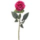 SINGLE ROSE BEAUTY H76 D 10 CM