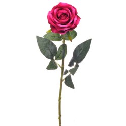 SINGLE ROSE BEAUTY H76 D 10 CM