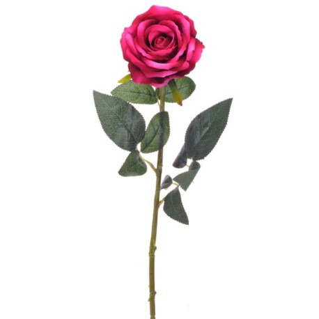 SINGLE ROSE BEAUTY H76 D 10 CM