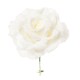 PICK ROSA INNEVATA CM.17 WHITE