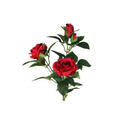 ROSA SOFIA X 3 RED