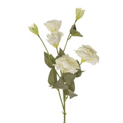 Lisianthus Spray Cm 80 Cream