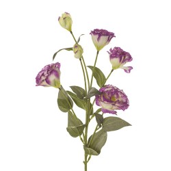 Lisianthus Spray Cm 80 Cream/lavander