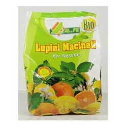 LUPINI (N) 4 MACINATI AMMENDANTE KG. 1