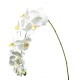 ORCHIDEA NATURAL TOUCH WHITE X11
