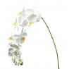 ORCHIDEA NATURAL TOUCH WHITE X11