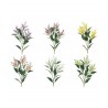 Astilbe X3 Assortiti Cm.70
