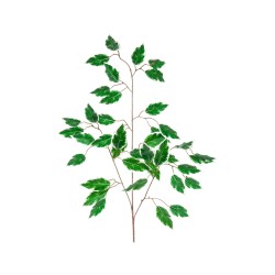 FOGLIA FICUS X 42 CM.65 VAR