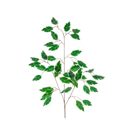 FOGLIA FICUS X 42 CM.65 VAR