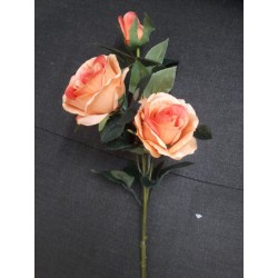 Rosa Sofia X 3 Cm.70 Coral