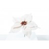 Pick Poinsettia Deluxe Velvet White