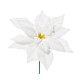 PICK POINSETTIA DELUXE WHITE CM.19