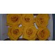 ROSE STABILIZZATE X6 WARM YELLOW