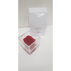 Cubo 8x8 Comp. Rosa E Gel Red