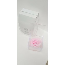 CUBO 8X8 COMP. ROSA E GEL PINK