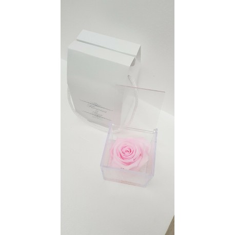 CUBO 8X8 COMP. ROSA E GEL PINK