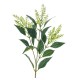 ASTILBE X3 GREEN CM.70