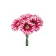 BOUQUET GERBERA X 9 CM. 33 BEAUTY