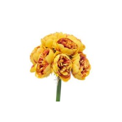 BUNDLE PEONIE X 10 CM.32 YELLOW