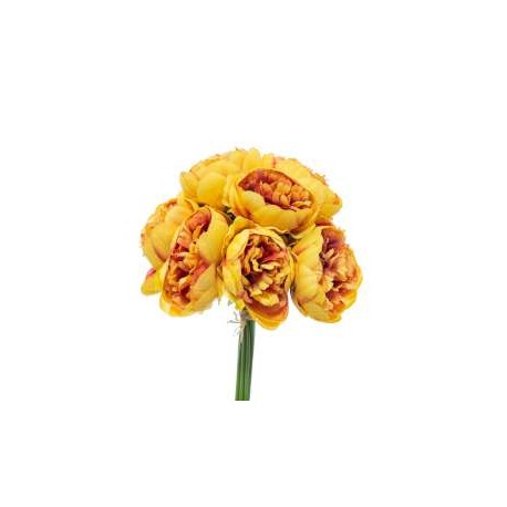 BUNDLE PEONIE X 10 CM.32 YELLOW