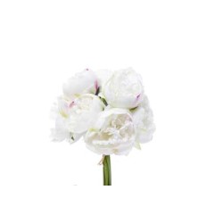 Bundle Peonie X 10 Cm.32 White