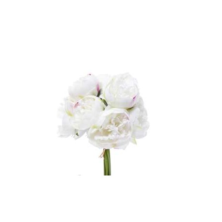 BUNDLE PEONIE X 10 CM.32 WHITE