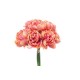 BUNDLE PEONIE X 10 CM.32 CORAL