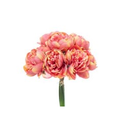 BUNDLE PEONIE X 10 CM.32 CORAL