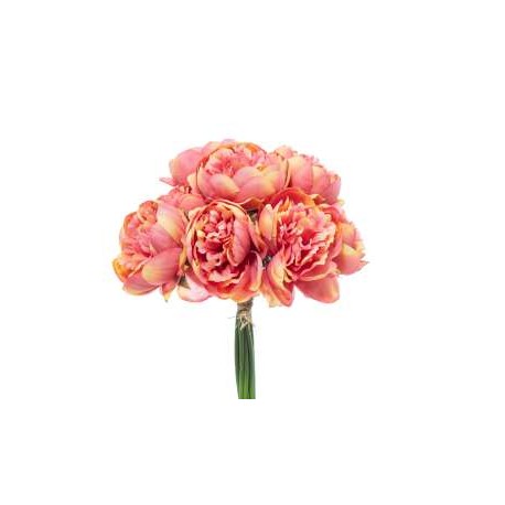 BUNDLE PEONIE X 10 CM.32 CORAL