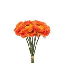 Bundle Ranuncoli X 10 Cm.31 Orange