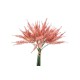 BUNDLE ASTILBE X 13 CM.31 PINK