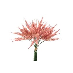 Bundle Astilbe X 13 Cm.31 Pink