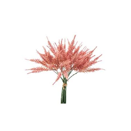 BUNDLE ASTILBE X 13 CM.31 PINK