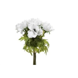 BUNDLE ANEMONI X 10 CM.36 WHITE