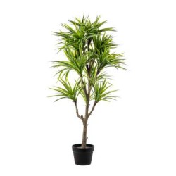 PIANTA DRACENA 368 FOGLIE CM.120