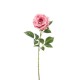 ROSA LAURA  CM.78 PINK