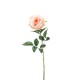 ROSA LAURA  CM.78 PEACH