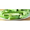 Okra Gombo Gr.4 (semi)