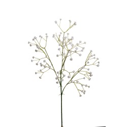 Gypsophila Cm. 60