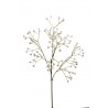 Gypsophila Cm. 60