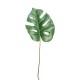 FOGLIA MONSTERA CM.39