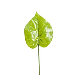 Foglia Anthurium Cm. 52