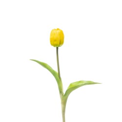 Tulipano Singolo Gomma Yellow
